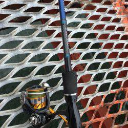 休みが出来たのでエギング 1人釣行